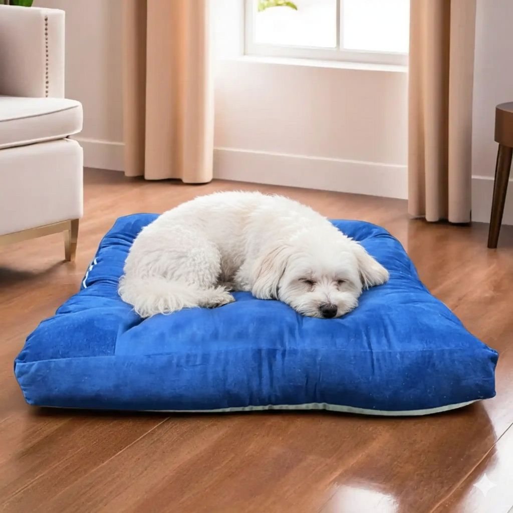 PET PILLOW